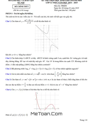 Đề thi chọn học sinh giỏi Toán 12 THPT năm 2024 - 2025 Sở GD&ĐT Hà Nội