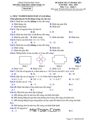Đề Thi Cuối Kì 1 Toán Lớp 6 Năm 2024 - 2025 Trường TH&THCS THSP Nghệ An