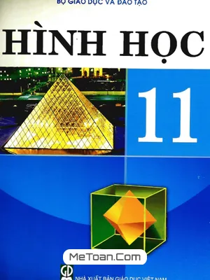 Sách Giáo Khoa Hình Học 11 Cơ Bản: Nội Dung, Tác Giả, Giá Bán