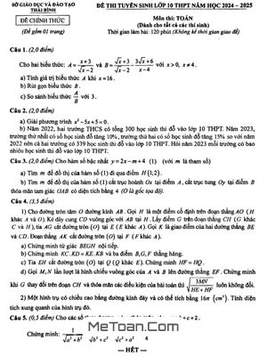 Đề thi tuyển sinh lớp 10 THPT môn Toán năm 2024 - 2025 sở GD&ĐT Thái Bình