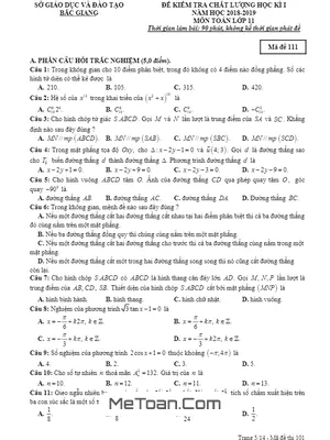 Đề thi học kỳ 1 Toán 11 năm học 2018 - 2019 Sở GD&ĐT Bắc Giang