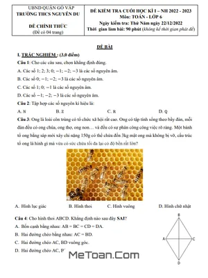 Đề thi học kì 1 môn Toán lớp 6 năm 2022 - 2023 trường THCS Nguyễn Du - TP HCM
