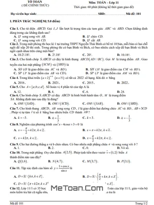 Đề Thi Cuối Kỳ 1 Toán 11 Năm 2022 - 2023 Trường Nguyễn Thái Bình - Quảng Nam