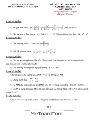 Đề Giao Lưu HSG Toán 8 Năm 2016 - 2017 Phòng GD&ĐT Chí Linh - Hải Dương