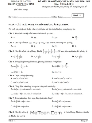 Đề giữa học kỳ 1 Toán 11 năm 2024 - 2025 trường THPT Cẩm Bình - Hà Tĩnh