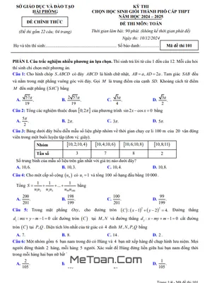 Đề thi chọn học sinh giỏi Toán THPT năm 2024 - 2025 sở GD&ĐT Hải Phòng