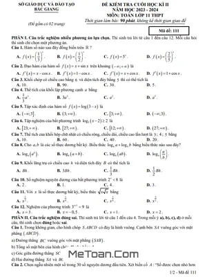 Đề kiểm tra cuối kì 2 Toán 11 năm 2023 - 2024 sở GD&ĐT Bắc Giang