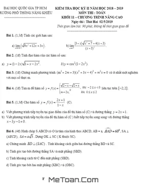 Đề thi học kì 2 Toán 11 năm 2018 - 2019 trường Phổ thông Năng khiếu - TP HCM
