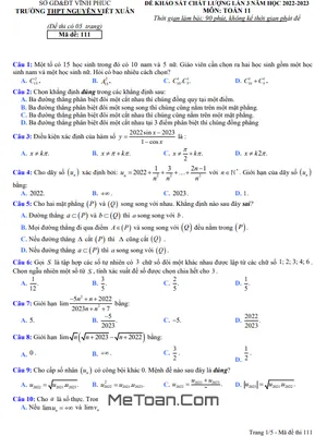 Đề KSCL lần 3 Toán 11 năm 2022 – 2023 trường THPT Nguyễn Viết Xuân – Vĩnh Phúc