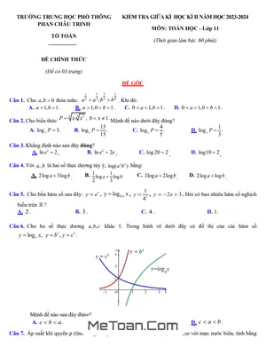 Đề Thi Giữa Kì 2 Toán 11 Năm 2023 - 2024 Trường THPT Phan Châu Trinh - Đà Nẵng