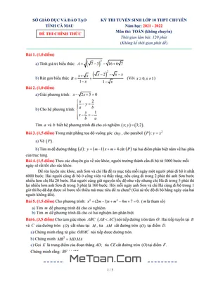 Đề thi vào 10 chuyên Toán (không chuyên) năm 2021 - 2022 Sở GD&ĐT Cà Mau