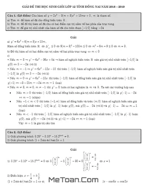 Đề thi chọn HSG Toán 12 THPT năm 2018 - 2019 sở GD&ĐT Đồng Nai