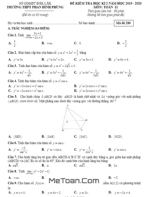 Đề thi HK2 Toán 11 năm 2019 - 2020 trường THPT Phan Đình Phùng - Đắk Lắk (Mã đề 289)