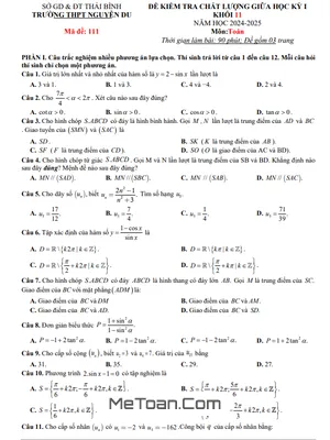 Đề giữa học kỳ 1 Toán 11 năm 2024 - 2025 trường THPT Nguyễn Du - Thái Bình