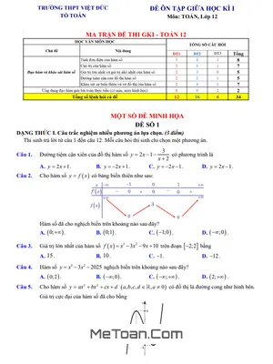 Đề Cương Ôn Tập Giữa Học Kì 1 Môn Toán Lớp 12 Năm 2025 - 2026 Trường THPT Việt Đức, Hà Nội