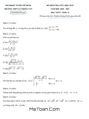 Đề thi giữa kì 2 Toán 11 năm 2020 – 2021 trường THPT Lê Trọng Tấn – TP HCM