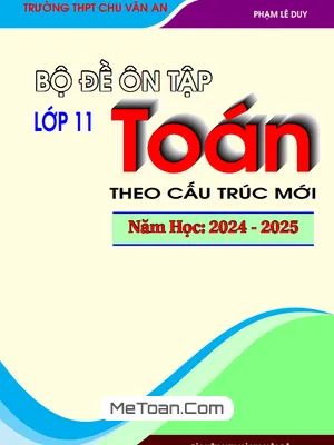 Bộ Đề Ôn Tập Môn Toán 11 Theo Cấu Trúc Mới - Phạm Lê Duy