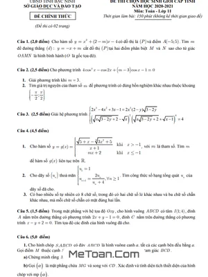 Đề thi HSG tỉnh Toán 11 năm 2020 - 2021 Sở GD&ĐT Bắc Ninh