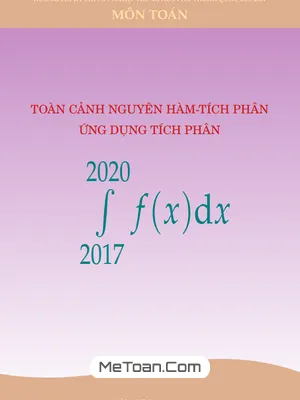 Tổng quan về Nguyên hàm - Tích phân và Ứng dụng trong đề thi THPT môn Toán (2017 - 2020)