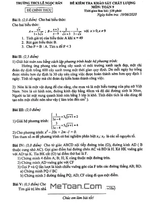 Đề thi khảo sát chất lượng môn Toán lớp 9 năm học 2019 - 2020 trường THCS Lê Ngọc Hân - Hà Nội