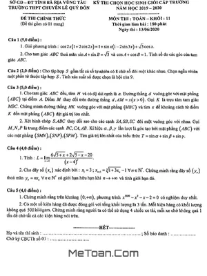 Đề thi chọn HSG Toán 11 năm 2019 - 2020 trường chuyên Lê Quý Đôn - BR VT
