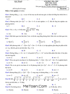 Đề thi thử Toán vào lớp 10 năm 2024 - 2025 phòng GD&ĐT Lục Ngạn - Bắc Giang