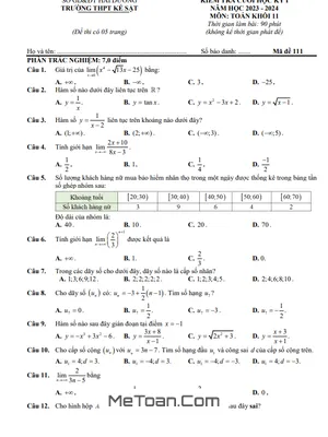 Đề thi học kỳ 1 Toán 11 năm 2023 - 2024 trường THPT Kẻ Sặt - Hải Dương [Có đáp án]