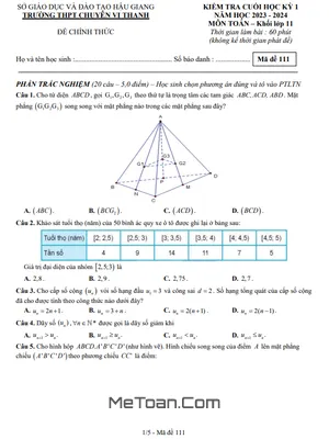 Đề Thi Cuối Kỳ 1 Toán 11 Năm 2023 - 2024 Trường THPT Chuyên Vị Thanh - Hậu Giang