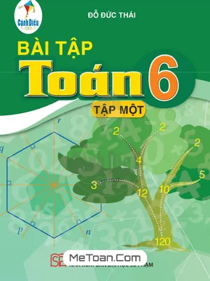 Sách Bài Tập Toán 6 (Tập 1) - Cánh Diều