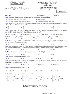 Đề thi HK1 Toán 11 năm 2018 - 2019 trường chuyên Trần Hưng Đạo - Bình Thuận