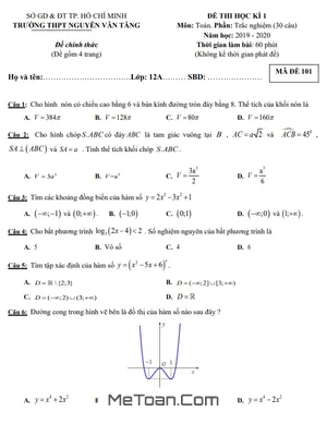 Đề thi HK1 Toán 12 năm 2019 - 2020 trường THPT Nguyễn Văn Tăng - TP HCM