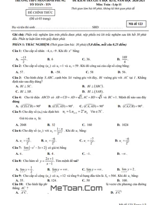 Đề thi giữa kì 2 Toán 11 năm 2020 - 2021 trường Phan Đình Phùng - Hà Nội