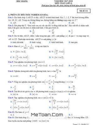 Đề thi HK1 Toán 11 năm học 2017 - 2018 sở GD&ĐT Bắc Giang