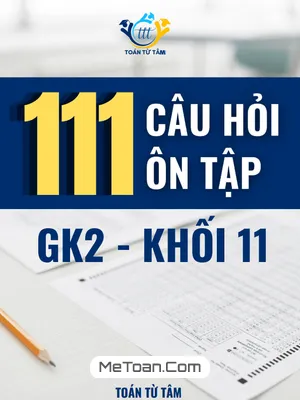 111 Câu Hỏi Ôn Tập Kiểm Tra Giữa Học Kì 2 Môn Toán 11