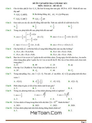 12 Đề Ôn Tập Kiểm Tra Cuối Học Kì 1 Môn Toán 11 (100% Trắc Nghiệm)