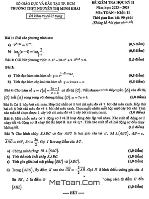 Đề thi học kỳ 2 Toán 11 năm 2023 - 2024 trường THPT Nguyễn Thị Minh Khai - TP HCM