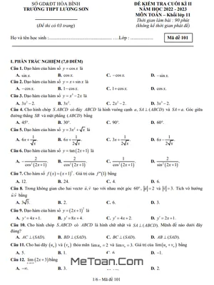 Đề thi cuối kì 2 Toán 11 năm 2022-2023 trường THPT Lương Sơn - Hòa Bình
