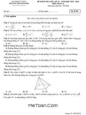 Đề Thi Giữa Kỳ 2 Môn Toán Lớp 11 Năm 2023 - 2024 Trường THPT Đầm Dơi - Cà Mau
