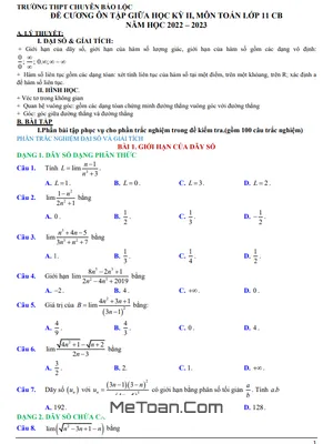 Đề Cương Ôn Tập Giữa Kì 2 Toán 11 Năm 2022 - 2023 Trường Chuyên Bảo Lộc - Lâm Đồng