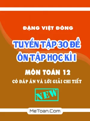 Tuyển Tập 30 Đề Ôn Tập Học Kì 1 Toán 12 Có Đáp Án & Lời Giải - Đặng Việt Đông