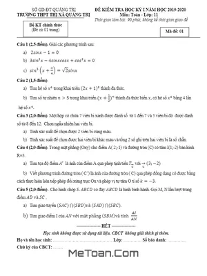 Đề thi HK1 Toán 11 năm 2019 - 2020 trường THPT Thị xã Quảng Trị [Có lời giải]