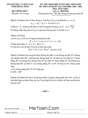 Đề Thi Chọn HSG Quốc Gia Môn Toán THPT Năm 2024 - 2025 - Sở GD&ĐT Đồng Tháp