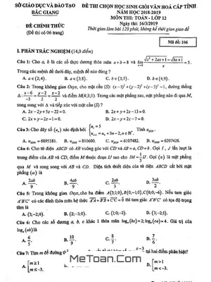 Đề thi học sinh giỏi Toán 12 cấp tỉnh năm 2018 - 2019 sở GD&ĐT Bắc Giang