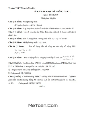 Đề thi HK1 Toán 11 năm 2019 - 2020 trường THPT Nguyễn Văn Cừ - TP HCM