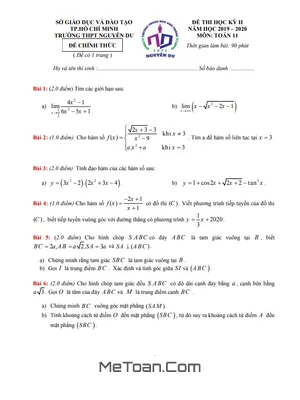 Đề thi học kì 2 Toán 11 năm 2019 - 2020 trường THPT Nguyễn Du - TP HCM