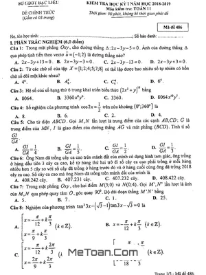 Đề thi học kỳ 1 Toán 11 năm học 2018 - 2019 sở GD&ĐT Bạc Liêu