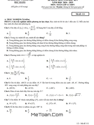 Đề Thi Học Kỳ 1 Toán 11 Năm 2024 - 2025 Sở GD&ĐT Bắc Giang