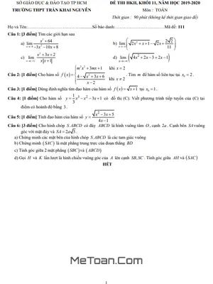 Đề Thi Học Kì 2 Toán 11 Năm 2019 - 2020 Trường THPT Trần Khai Nguyên - TP. HCM