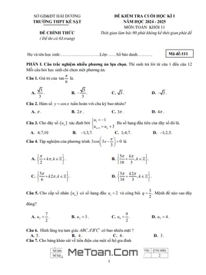 Đề thi học kì 1 Toán 11 năm 2024 - 2025 trường THPT Kẻ Sặt - Hải Dương