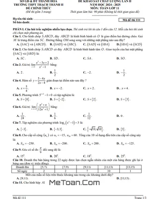 Đề khảo sát lần 2 Toán 11 năm 2024 - 2025 trường THPT Thạch Thành 2 - Thanh Hóa